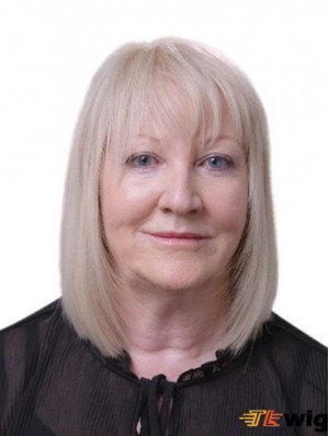 Grey Straight Shoulder Length Remy Human Hair 14 inch With Bangs 100% Hand-Tied Wigs
